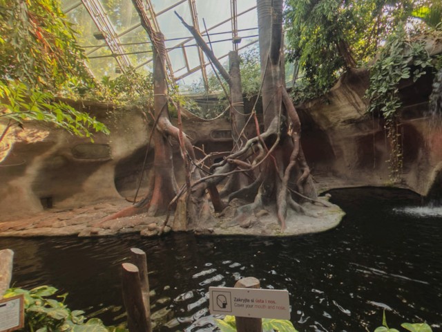 A creative 360° experience of a Prague ZOO and monkeys